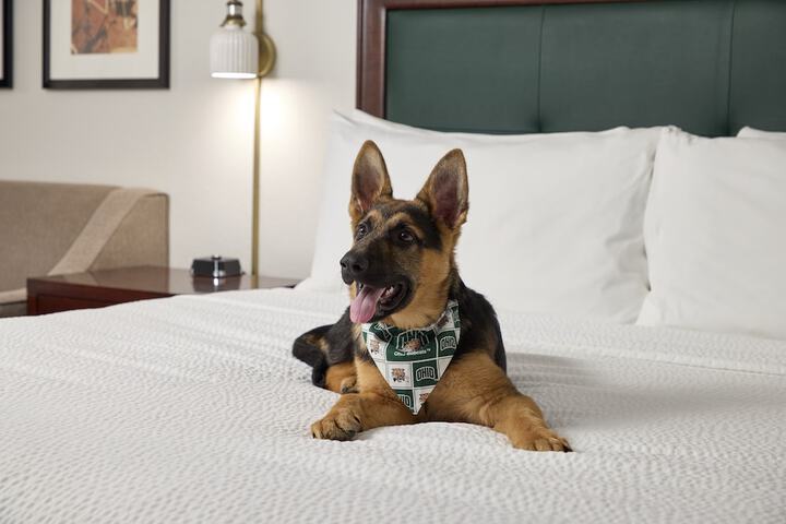 Deluxe King Bed (7 of 11)