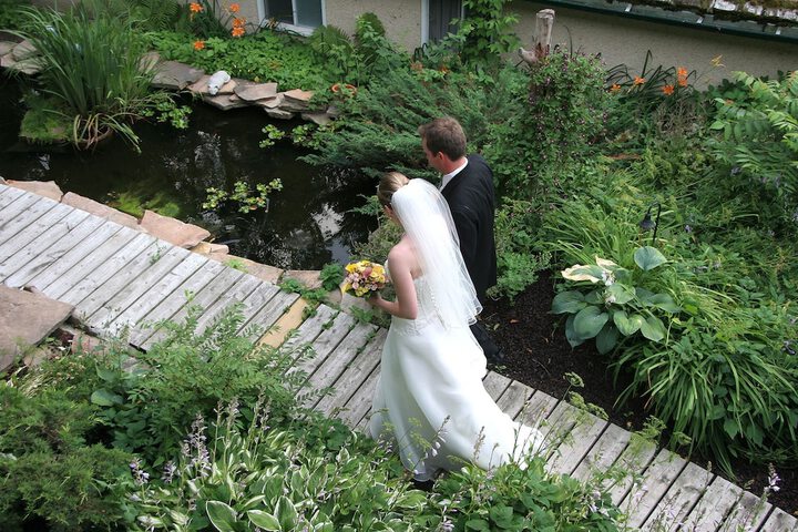 Wedding/Banquet 93 of 124