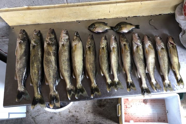 Outdoor Activities 5 of 11