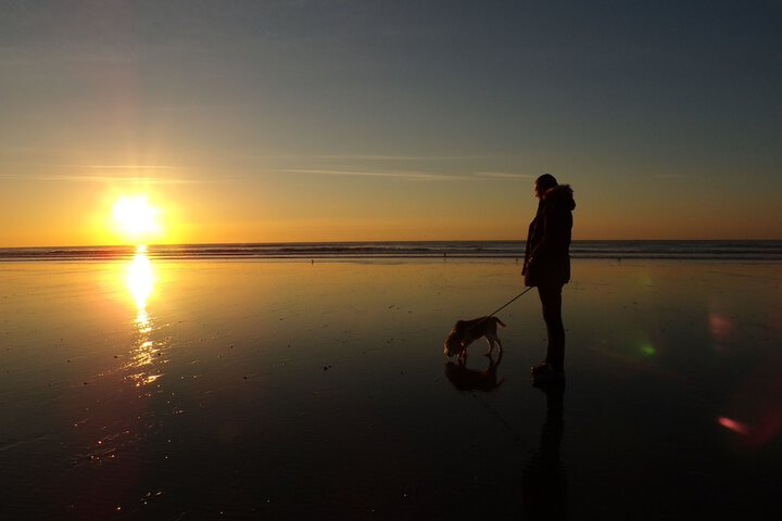 Beach 62 of 75