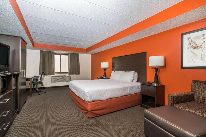 1 King Bed (3 of 16)