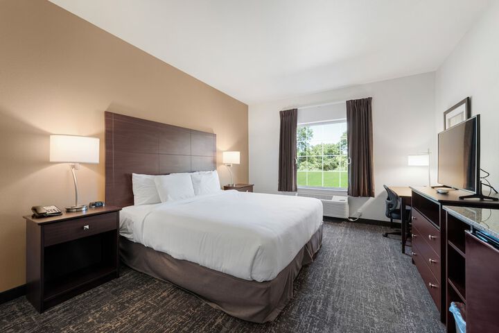 Guest Room Single King Bed Accessible (9 of 17)