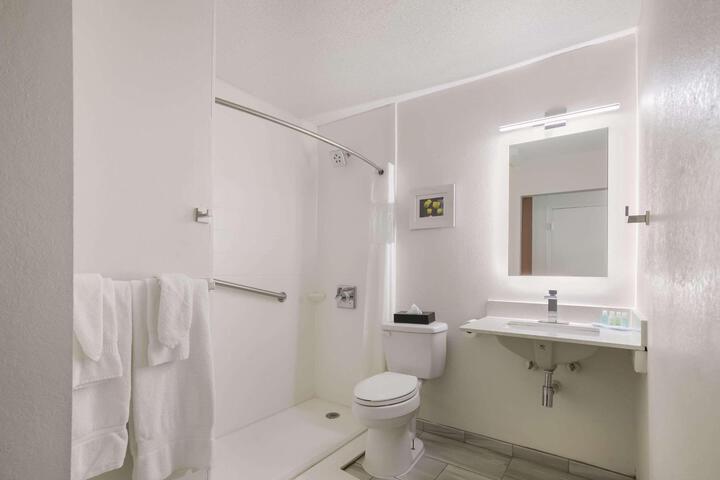1 Queen Bed Accessible (5 of 11)