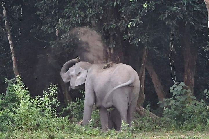 General 50 of 72