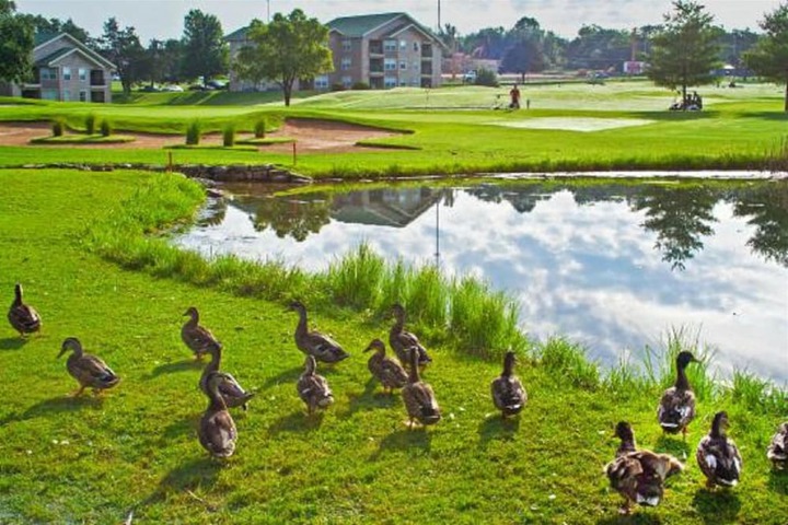 Property Grounds 76 of 88