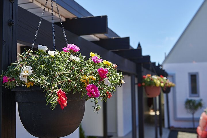 Hotel 58 of 63