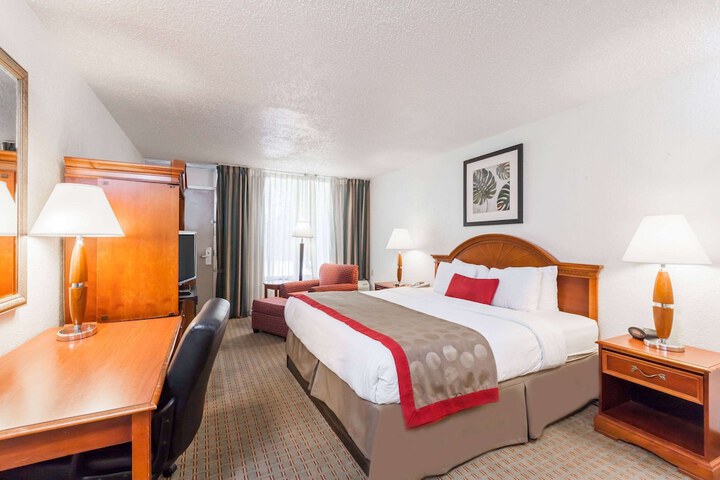 Room 20 of 52