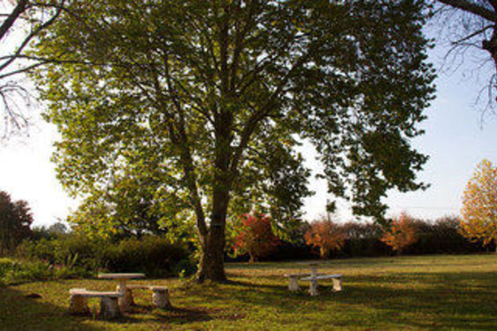 Property Grounds 27 of 27