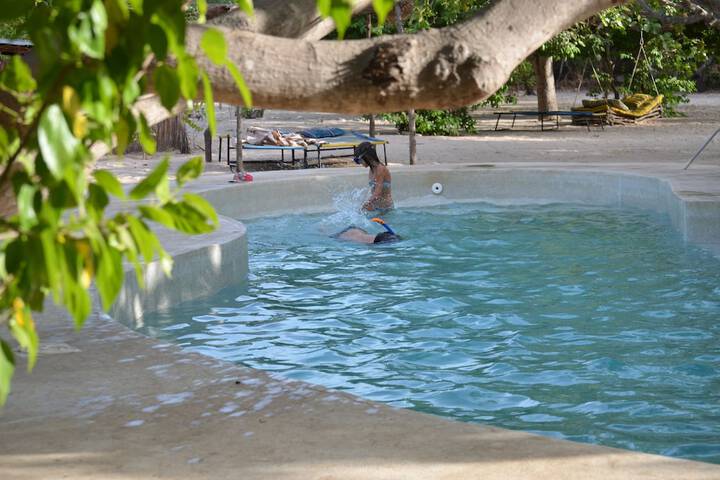 Pool 22 of 65
