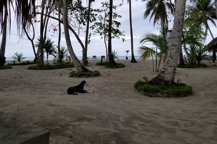 Beach 30 of 31