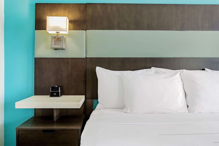 1 King Bed Mobility Hearing Accessible Room Roll in Shower (5 of 13)