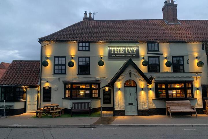 The Ivy