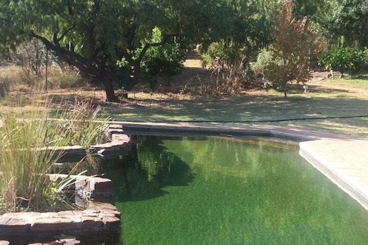 Pool 62 of 79
