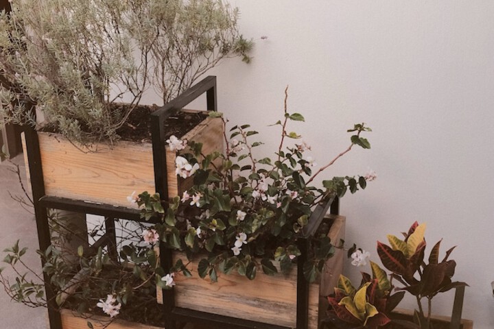 Terrace/Patio 44 of 65