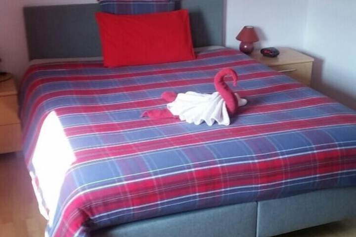 Room 11 of 31