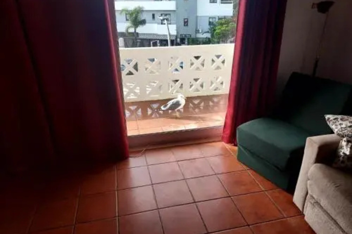 Room 5 of 19