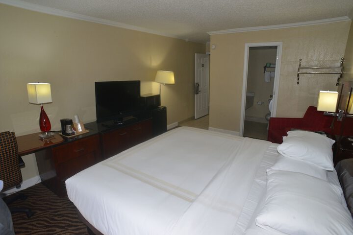 Standard Single Room 1 King Bed (10 of 17)
