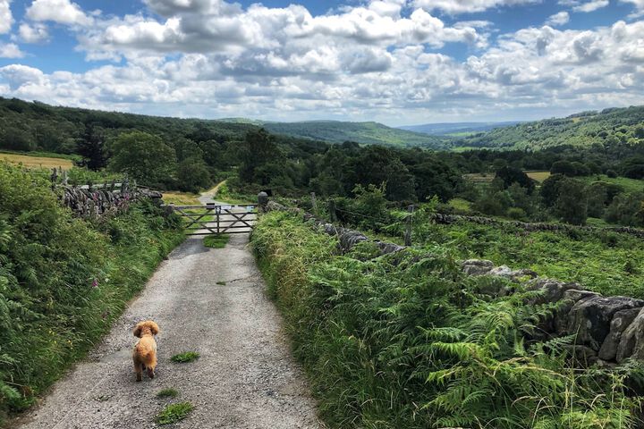 Hiking