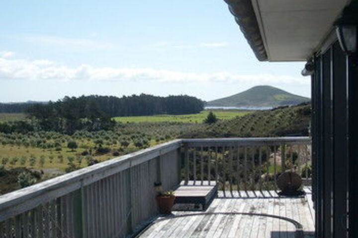 Terrace/Patio 12 of 12