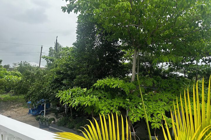 Terrace/Patio 45 of 124