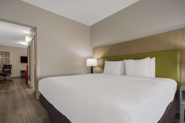 1 King Bed (3 of 19)