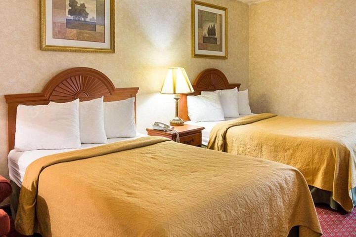 2 Double Beds (5 of 6)