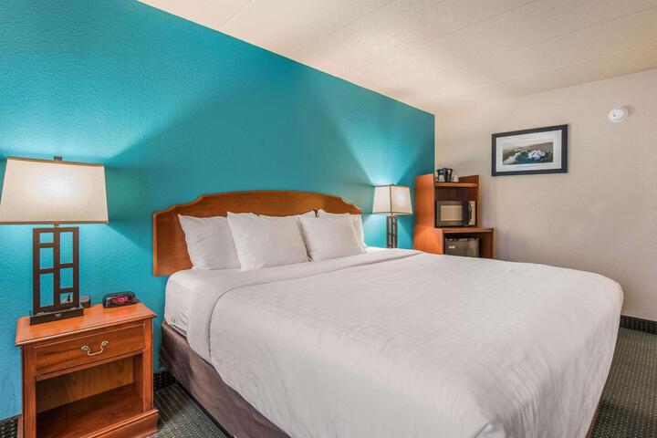 1 King Bed (11 of 13)