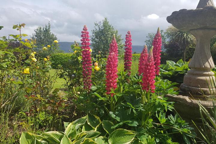 Spa and Wellness Pictures