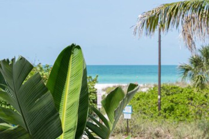 Beach 8 of 36