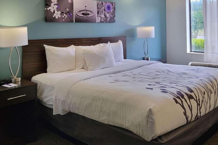 1 King Bed (4 of 6)