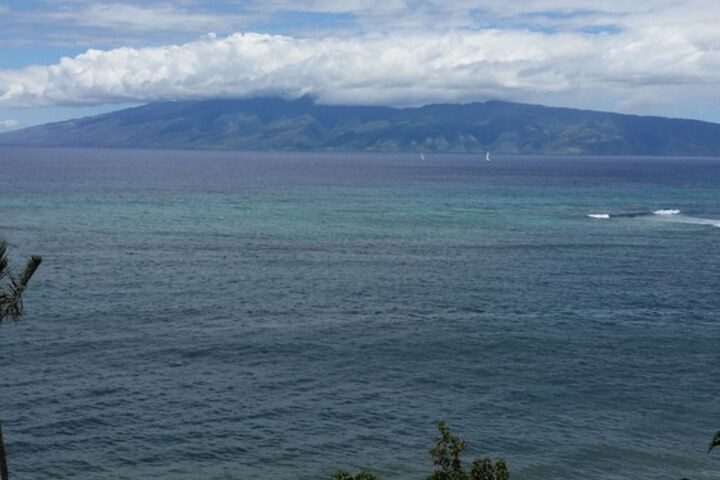 Hotel View 474 of 484