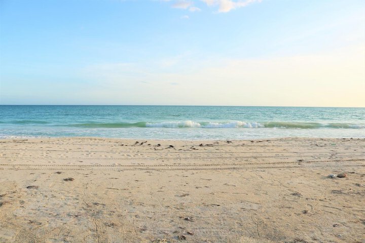 Beach 40 of 56