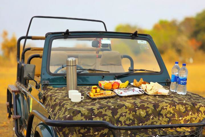 Game drive