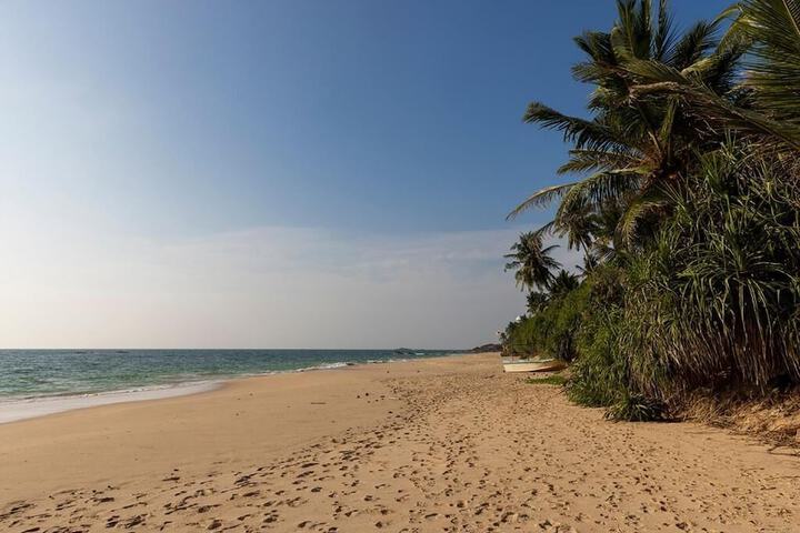 Beach 21 of 23