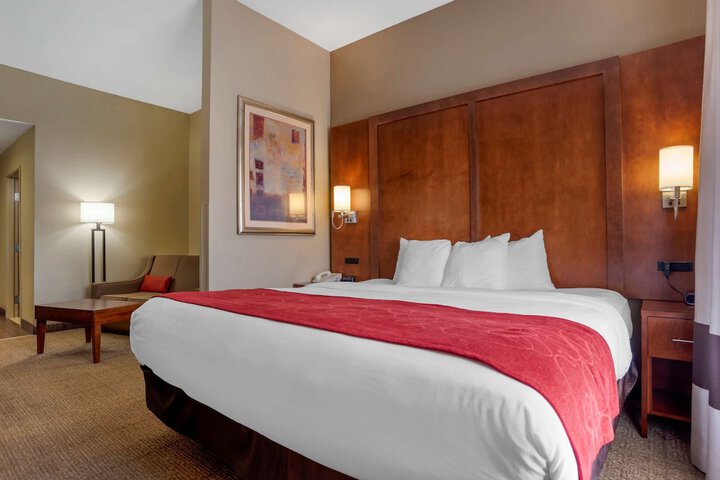1 King Bed Suite (4 of 15)