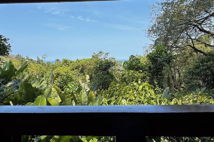 Terrace/Patio 53 of 92