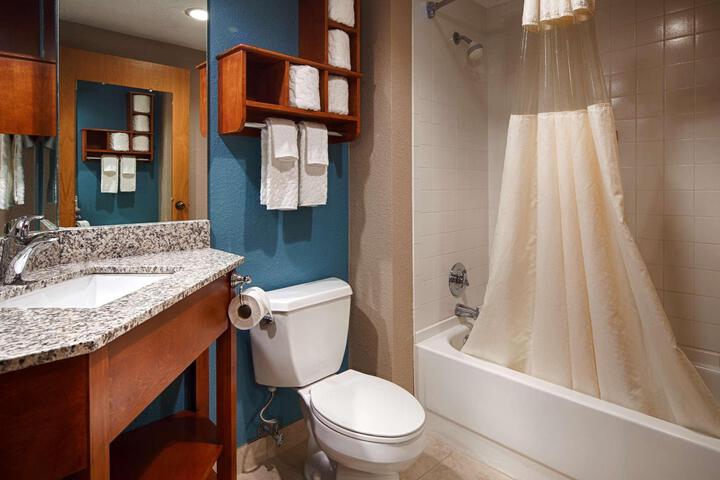 1 Double Bed Mobility Accessible Bathtub with Grab Bars (6 of 14)