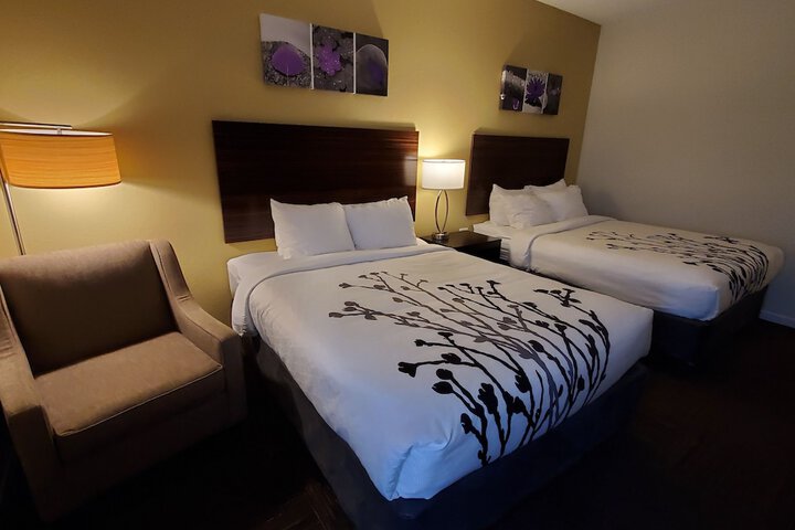 2 Queen Beds (7 of 17)
