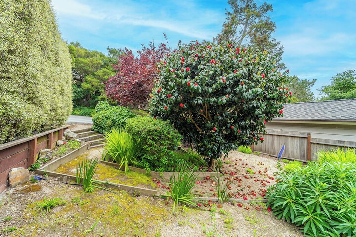 Property Grounds 19 of 28