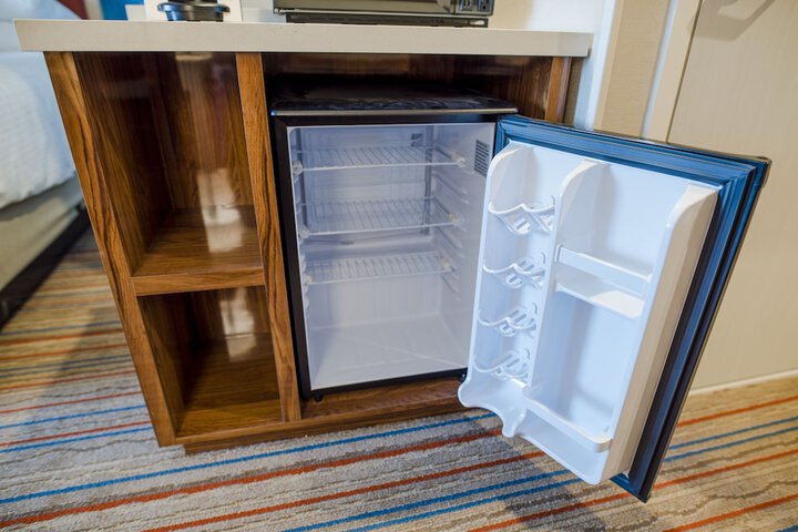 Mini-refrigerator
