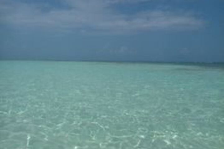 Beach 10 of 50