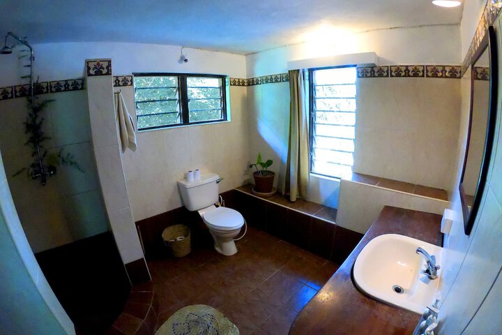 Room 31 of 50