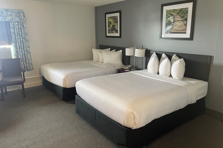 Room 8 of 81