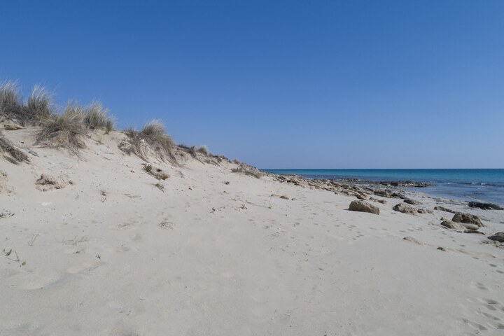 Beach 83 of 105