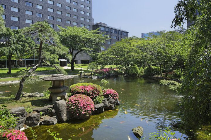 Hotel Exterior 236 of 239