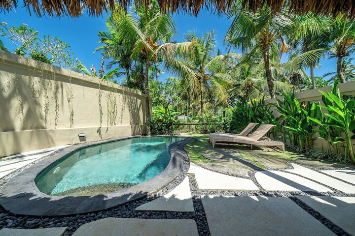 Pool 164 of 231