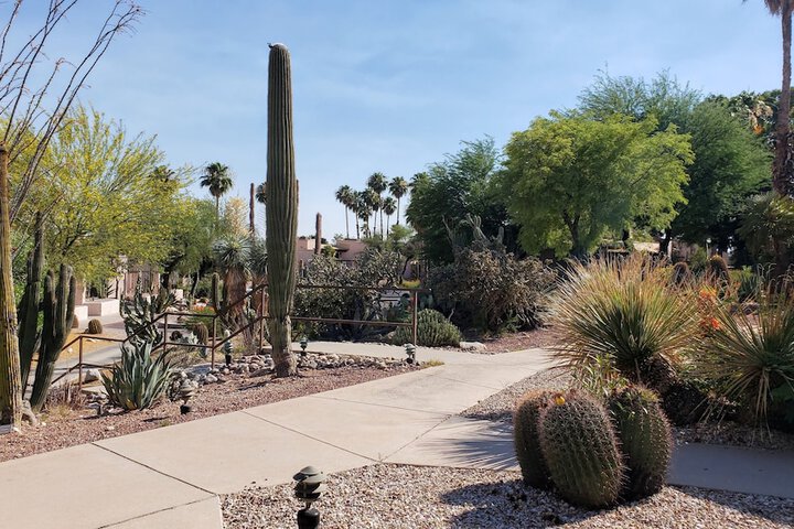 Garden view