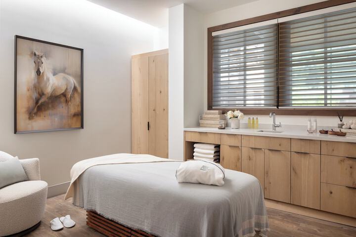 Wellness Treatments