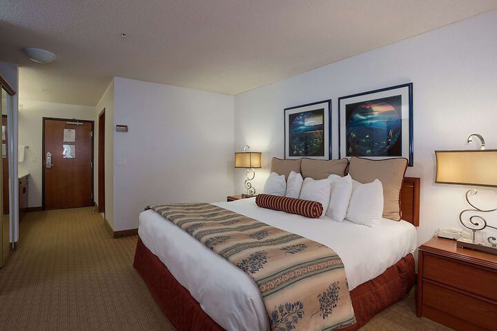 Room 4 of 24