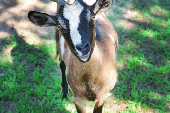 Property Grounds 116 of 167